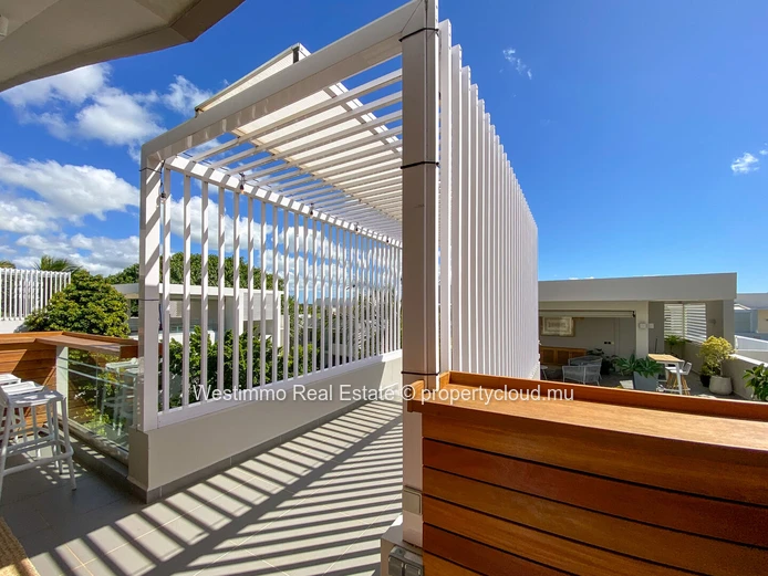 Prestigious penthouse for long-term rent in Azuri