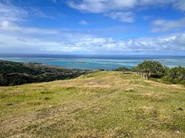 Commercial Land