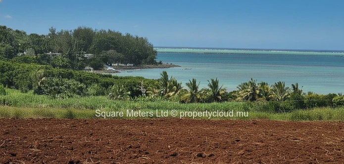 Terrain agricole de 2 406 m² à vendre à Anse Jonchée (Mandat exclusif)
