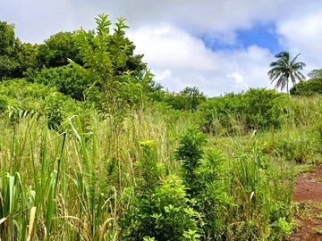 Residential Land For Sale In Pont Praslin