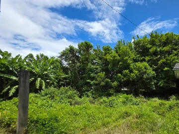 Residential Land