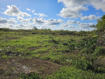 Agricultural Land