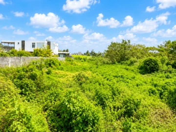 Residential Land