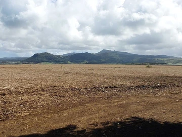 Agricultural Land