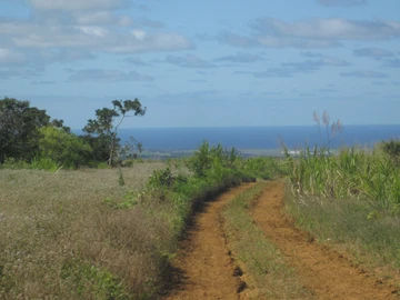 Residential Land