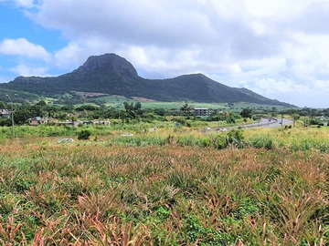 Agricultural Land