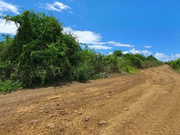 Agricultural Land