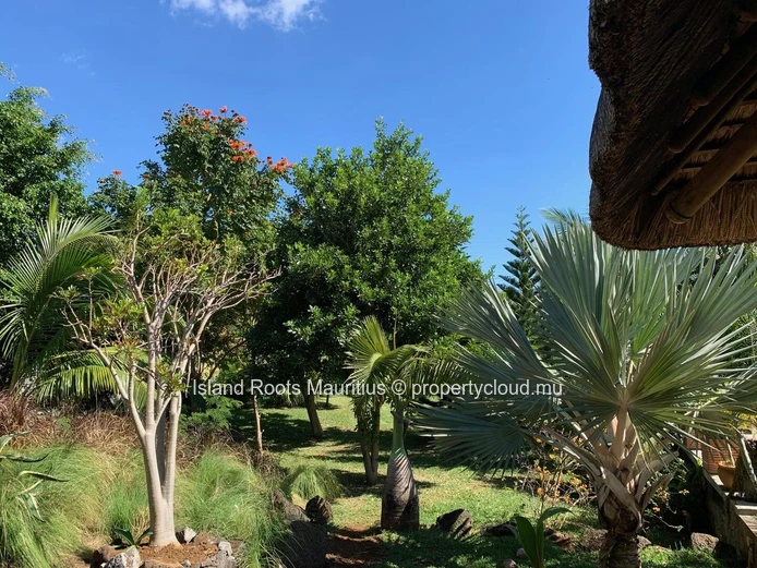 Charming 4 bedroom villa for rent in Mont Mascal