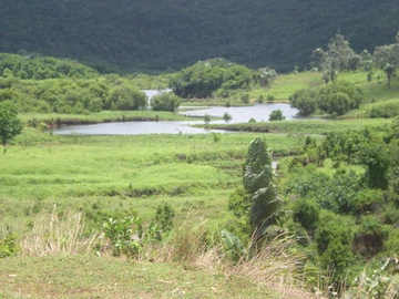 Terrain Commercial