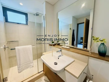 2 Bedroom Penthouse