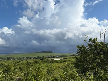 Agricultural Land