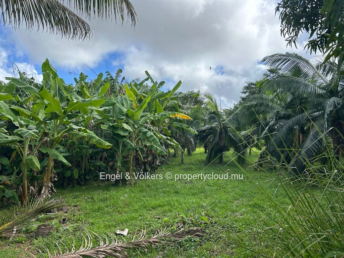 Commercial Land for Sale in Montagne Blanche — A Unique Investment Opportunity