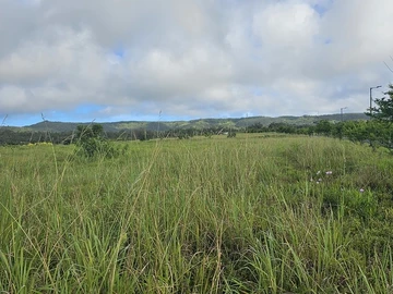 Residential Land