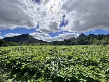 Terrain Agricole