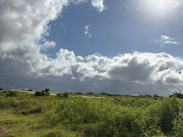Agricultural Land