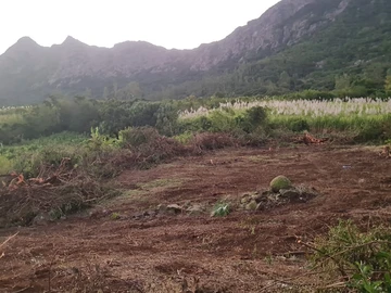 Terrain Agricole
