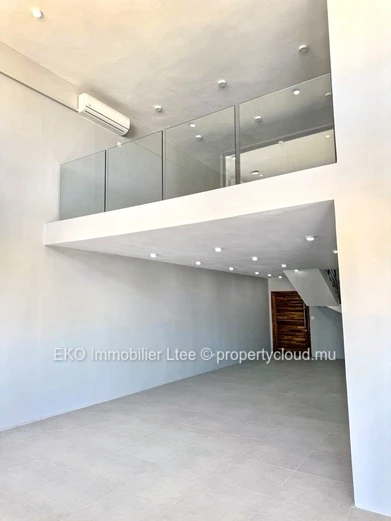 Luxurious Flic en Flac Penthouse: Foreigners Welcome!
