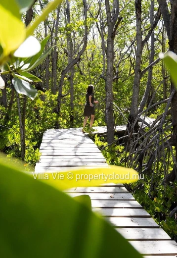 Anse La Raie - Superb 4-bedroom Twin Villas