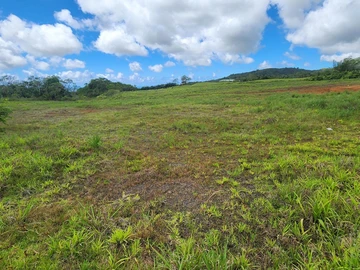 Terrain