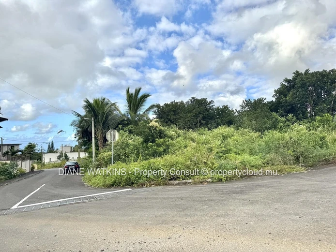 À Vendre – Terrain Résidentiel à Union Park