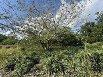 Terrain Agricole