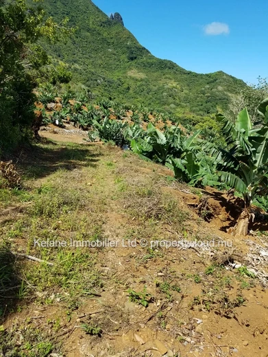 13.38 Arpents of Land for Sale | Anse Jonchée | Grand Port