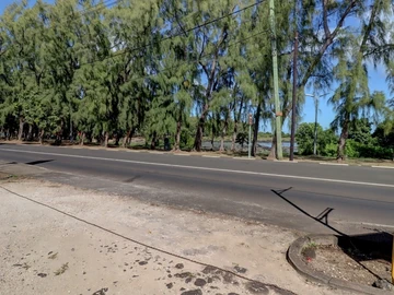 Commercial Land