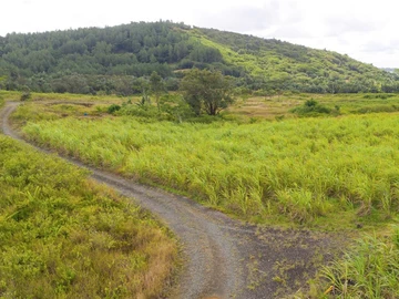 Terrain Agricole