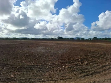 Commercial Land
