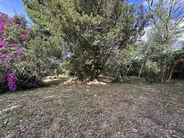 Residential Land
