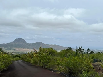 Agricultural Land