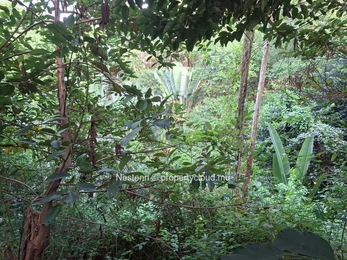 Land of 4965.12 m² 2.8 kms from main road.