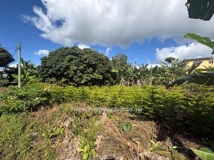 Residential Plot of Land de 236m² 