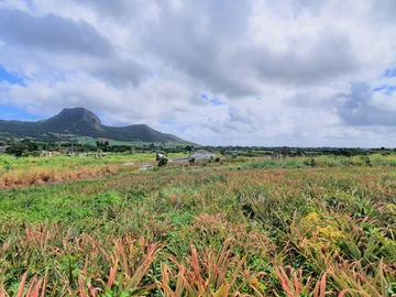 Agricultural Land