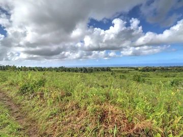 Agricultural Land