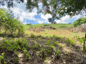Terrain Agricole