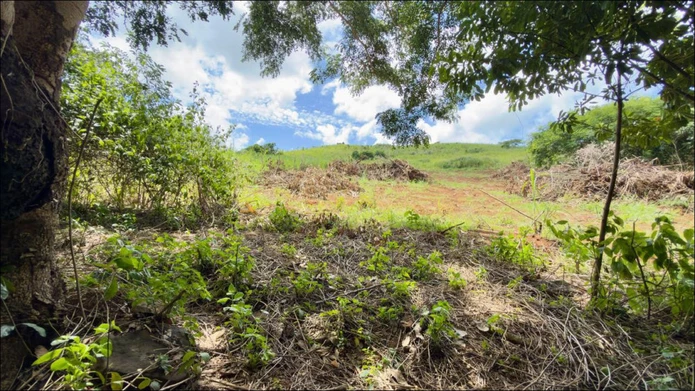 Terrain Agricole à Vendre à Baie du Cap – Morcellement Fleur de Cannes