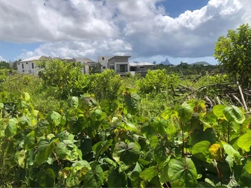 Residential Land