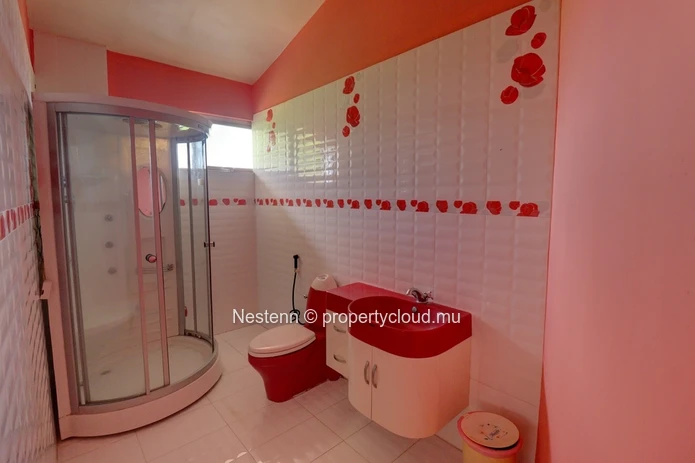 Traditional 5 bedroom house with swimming pool and garden 