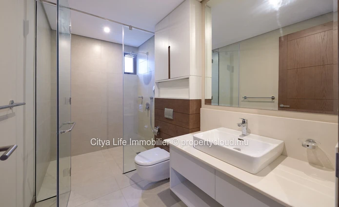 Luxury PDS Apartment with panoramic sea view for sale in Pointe aux Canonniers
