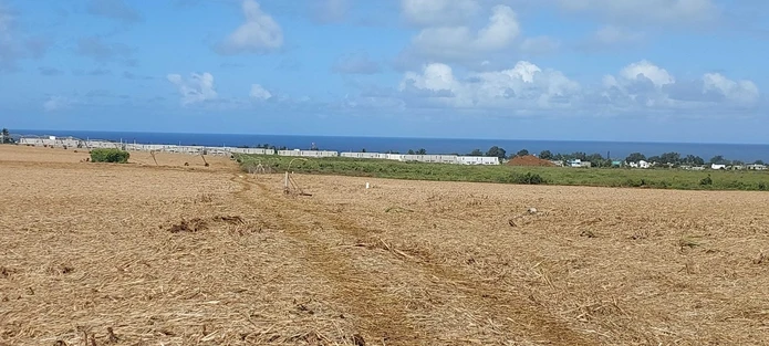 Agricultural land for sale - Souillac (Sole Mandate)