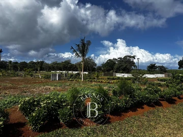 Residential Land