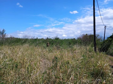 Terrain Résidentiel