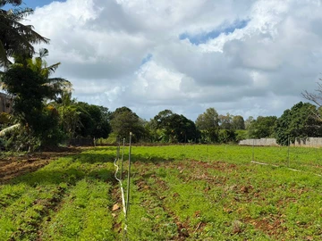 Residential Land