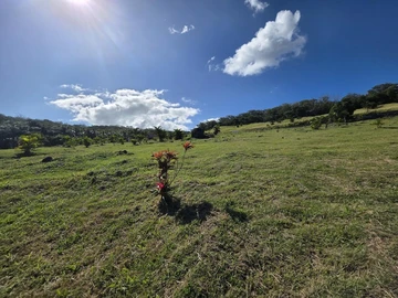 Residential Land