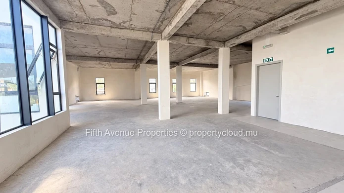 Tamarin – 300 M² Commercial Space