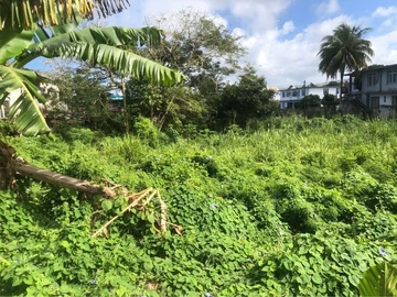 Residential Land