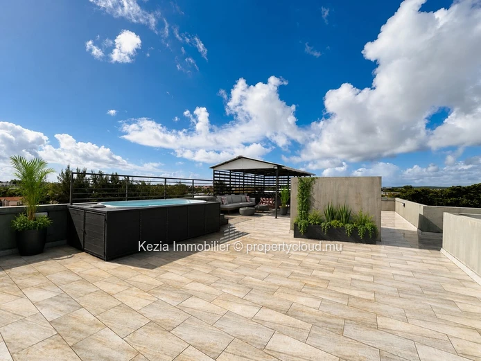 Penthouse With Private Rooftop