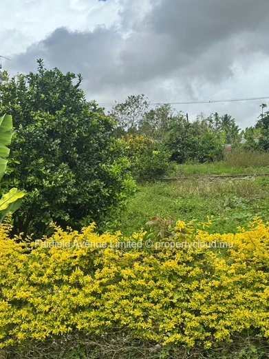 Terrain résidentiel de 506 m² à vendre a Petit Verger