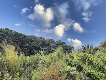 Land